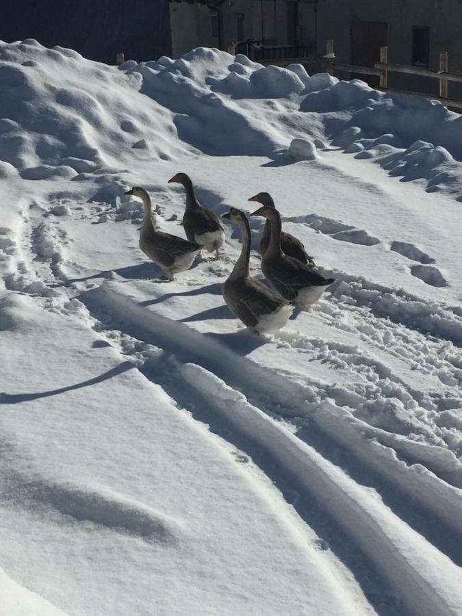 Relax Holiday Sestriere Luaran gambar
